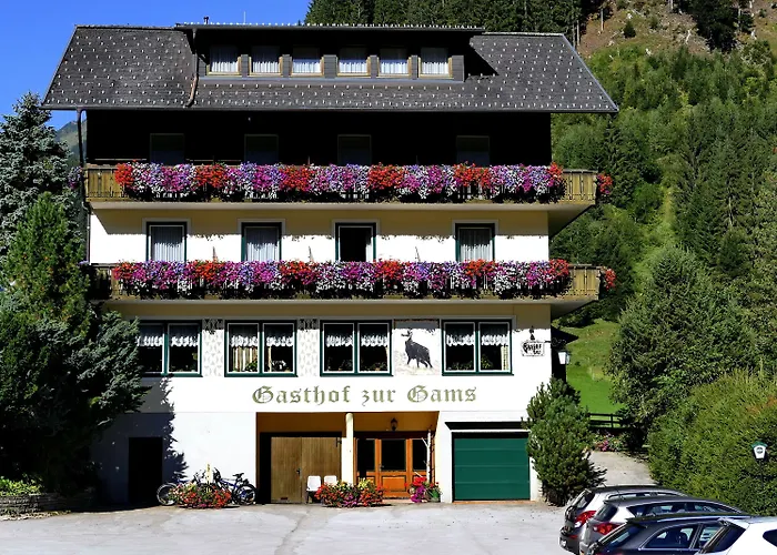 Zur Gams Apartment *