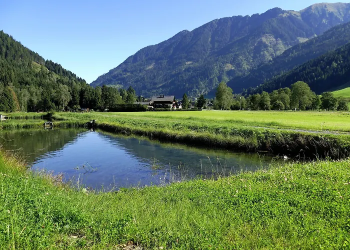 Apartment Zur Gams *