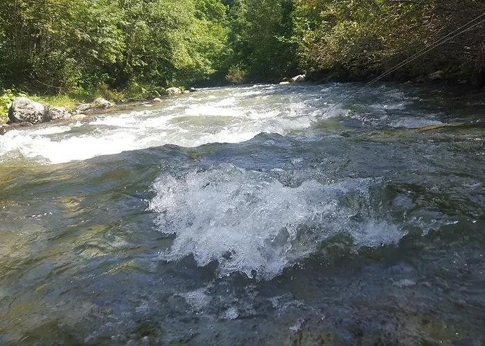 Zur Gams Donnersbachwald