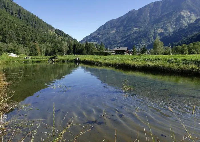 Zur Gams Donnersbachwald
